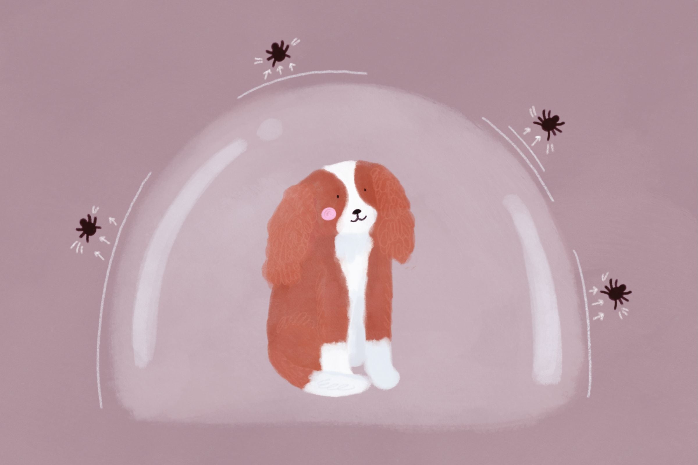 Kleszcze u psów i kotów w 2025 roku – jak chronić pupila przed chorobami odkleszczowymi?