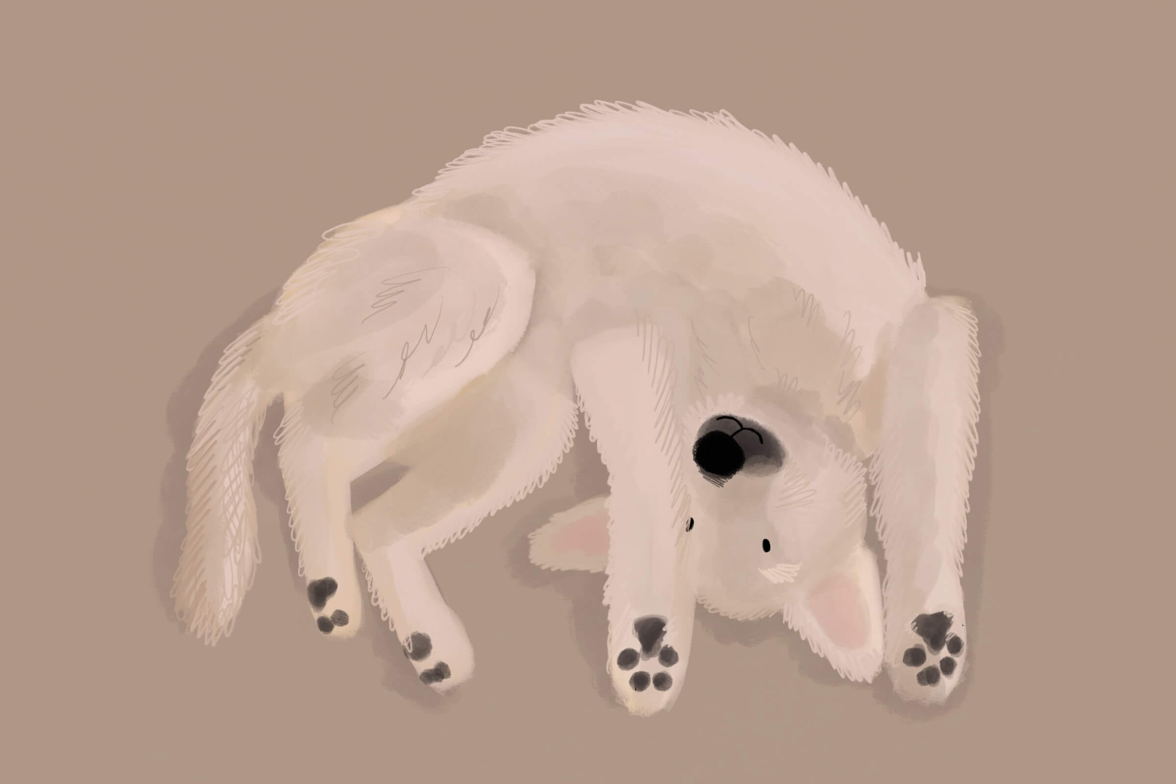 Kundelki – superbohaterowie w psim świecie