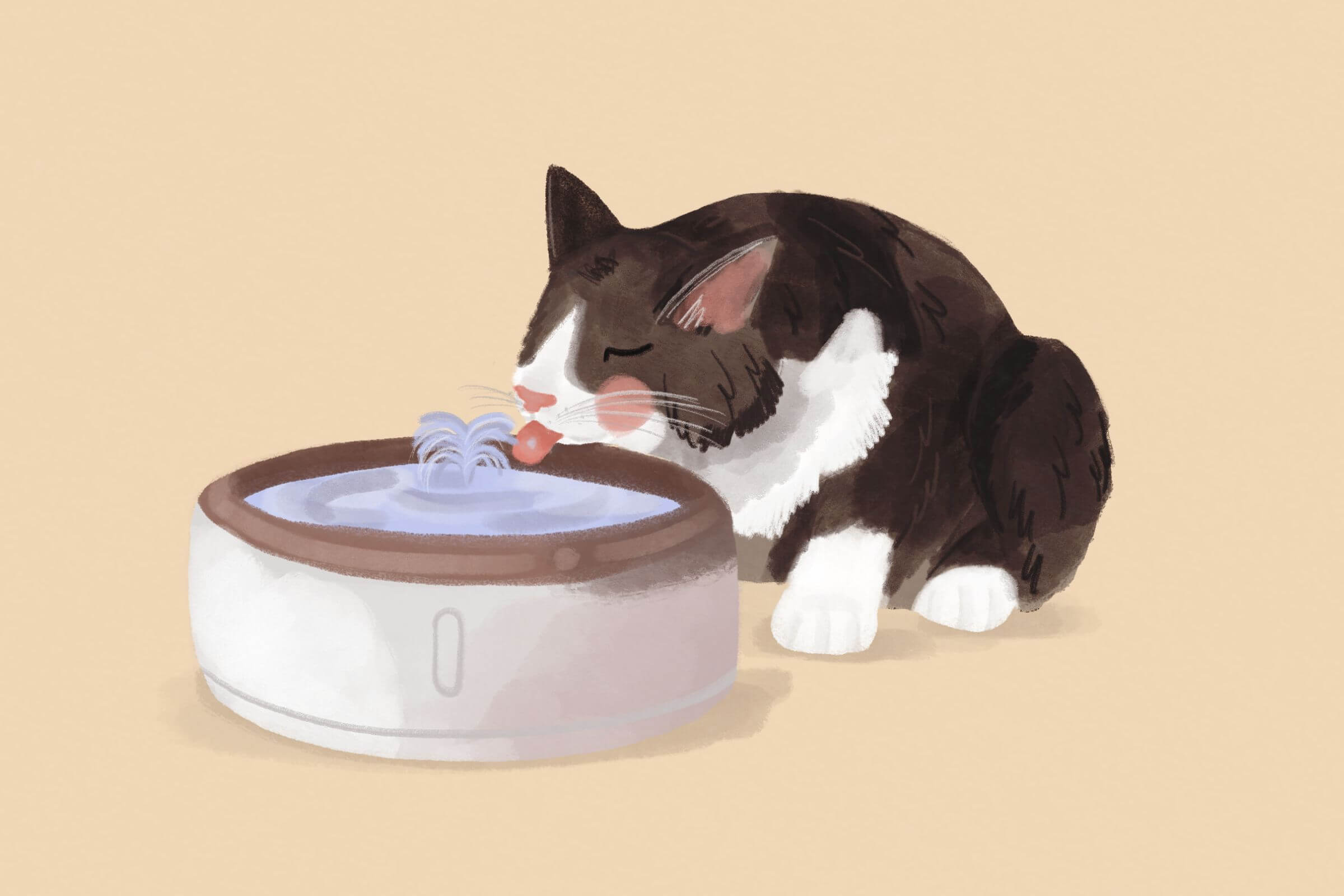 Jak zachęcić kota do picia wody? Skuteczne sposoby na nawodnienie kota i wsparcie jego zdrowia