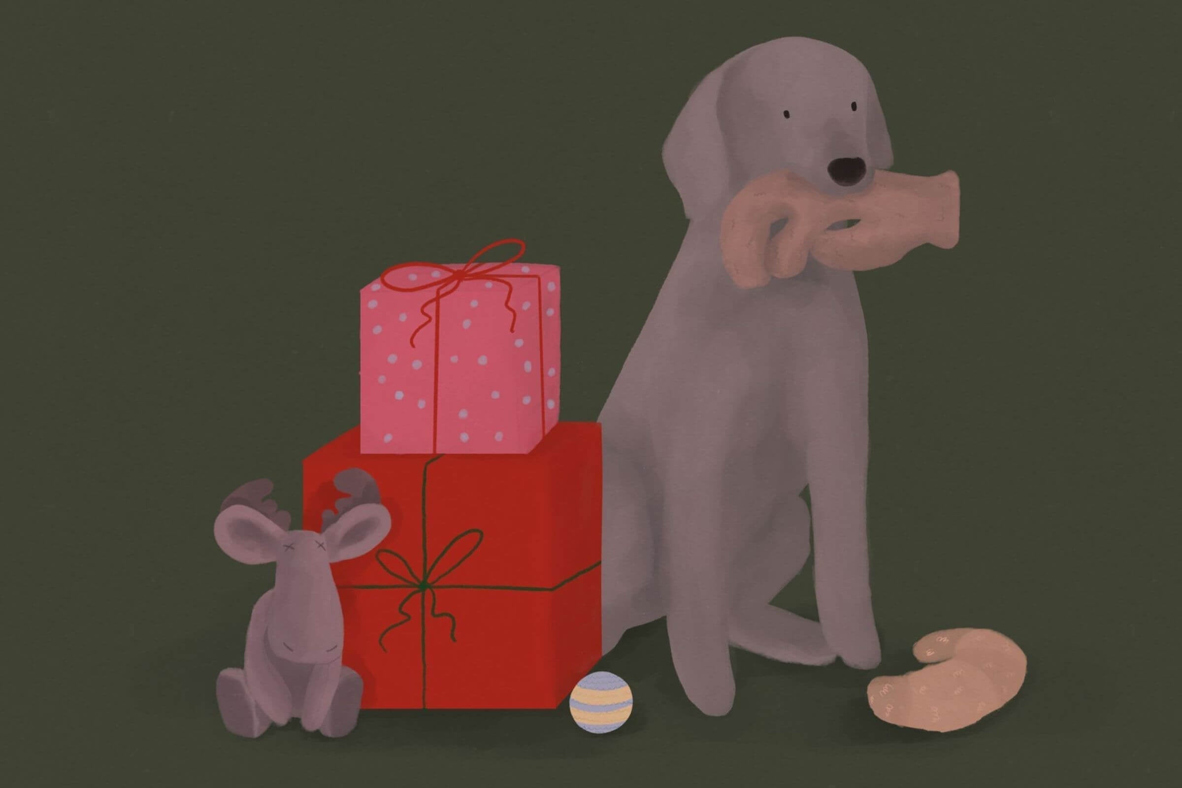 Pomysły na prezent dla psa, kota i ich opiekunów – kompletny przewodnik świąteczny 2025