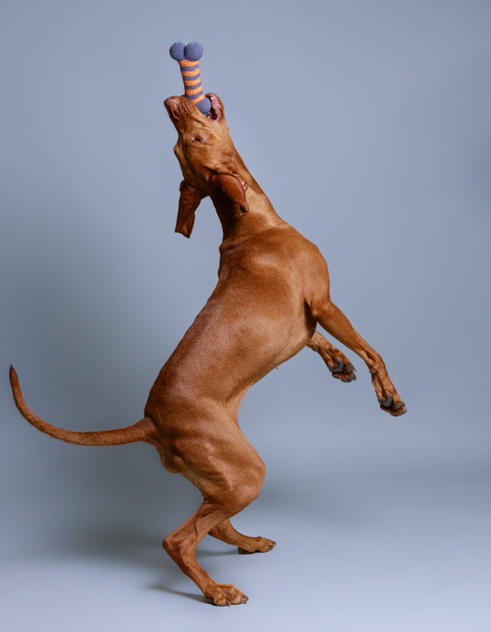 Kostka dla psa z bawełny organicznej LILLY pink