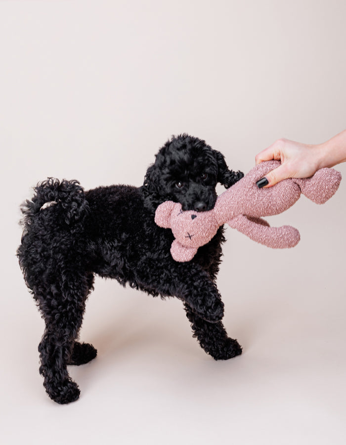 Pluszowa zabawka dla psa miś PINK BERTY