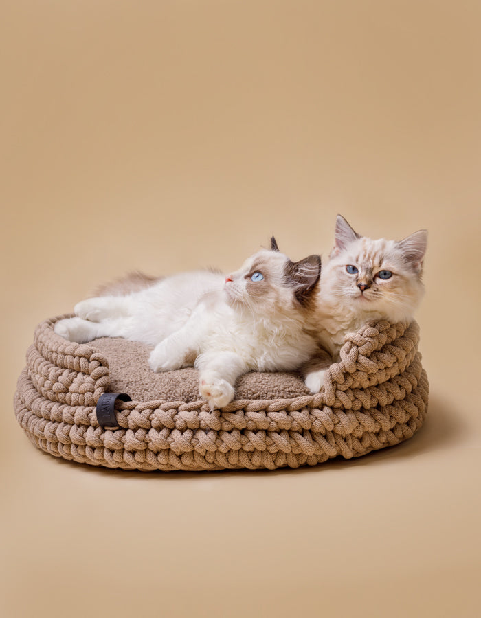 Poduszka dla kota CLOUD eco bouclé / Wypełnienie do legowiska COTTON