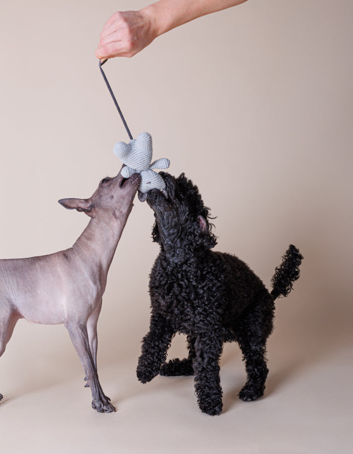 Szydełkowa zabawka dla psa kotek Charlie z piszczałką