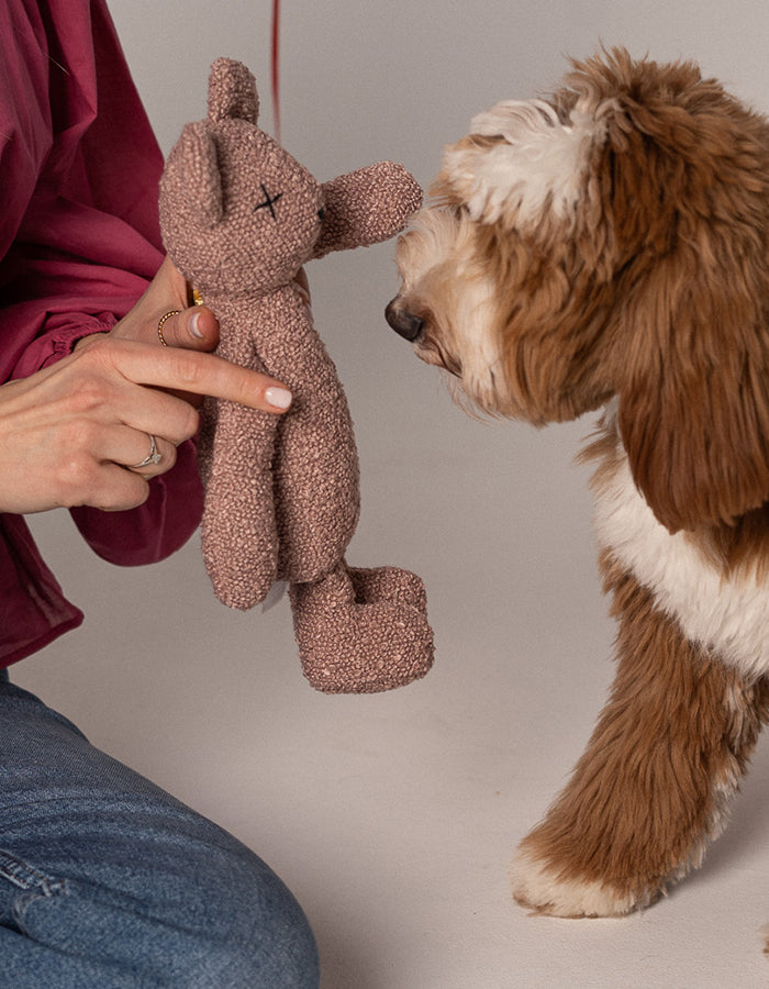 Pluszowa zabawka dla psa miś PINK BERTY