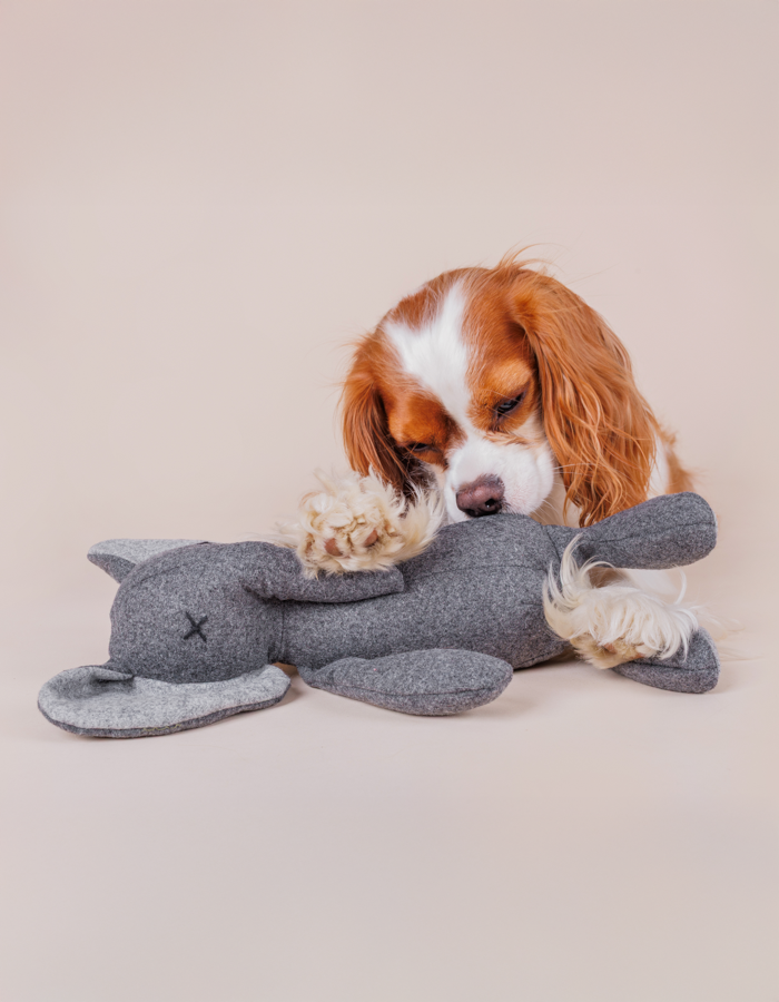 Pluszowa zabawka dla psa słoń STEFAN