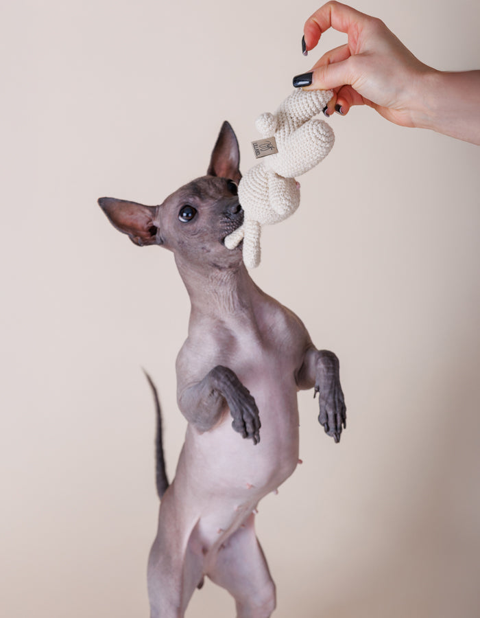 Szydełkowa zabawka dla psa króliczek Rosie z piszczałką