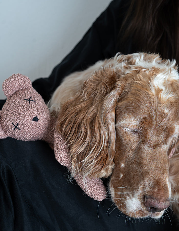 Pluszowa zabawka dla psa miś PINK BERTY