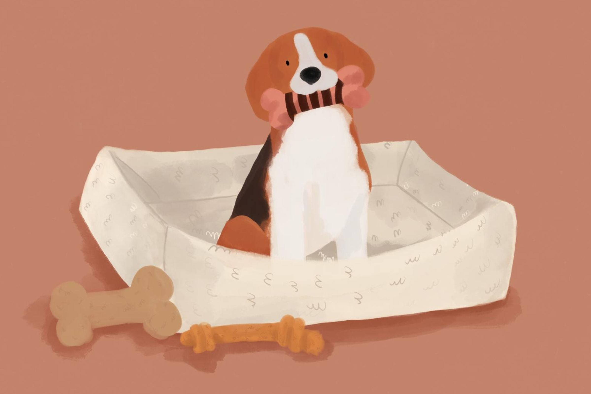 Eko-akcesoria dla zwierząt od LILLABEL