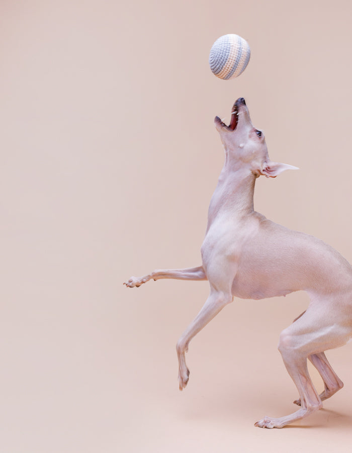 Piłka dla psa z bawełny organicznej RAINBOW almond