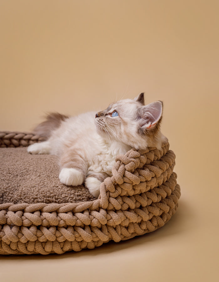 Poduszka dla kota CLOUD eco bouclé / Wypełnienie do legowiska COTTON