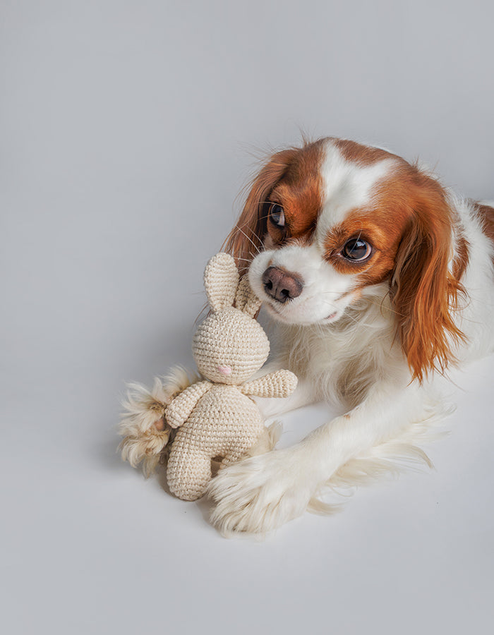 Szydełkowa zabawka dla psa króliczek Rosie z piszczałką