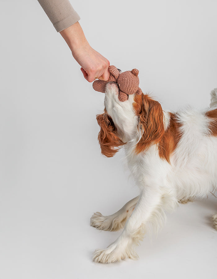 Szydełkowa zabawka dla psa miś Bruno z piszczałką