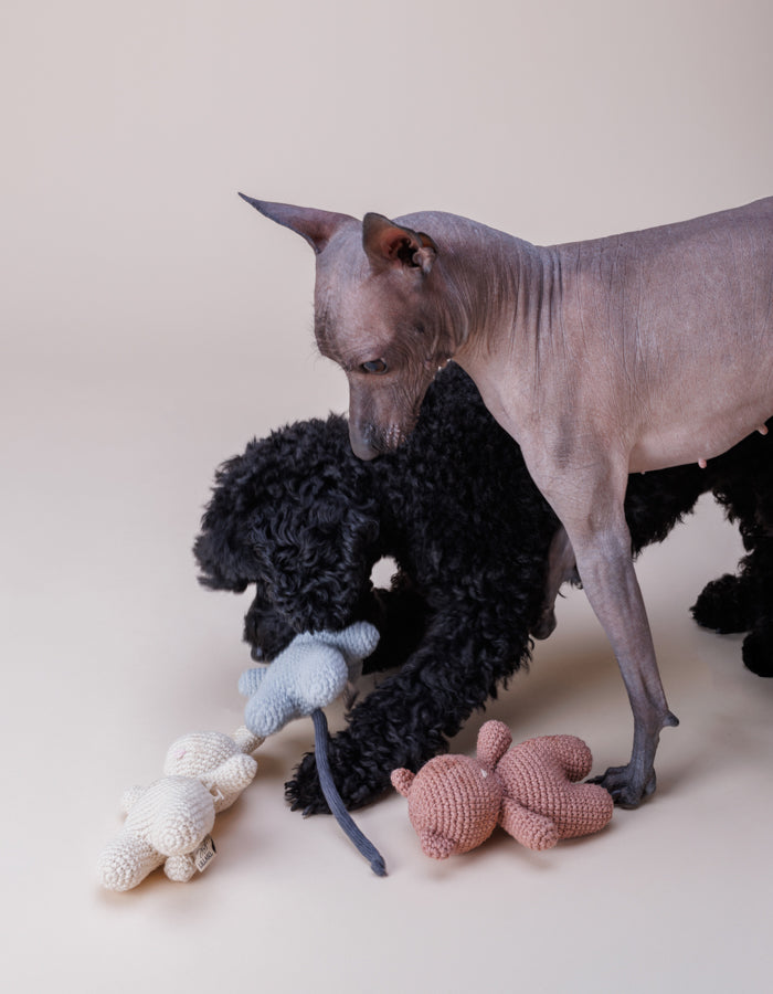 Szydełkowa zabawka dla psa kotek Charlie z piszczałką