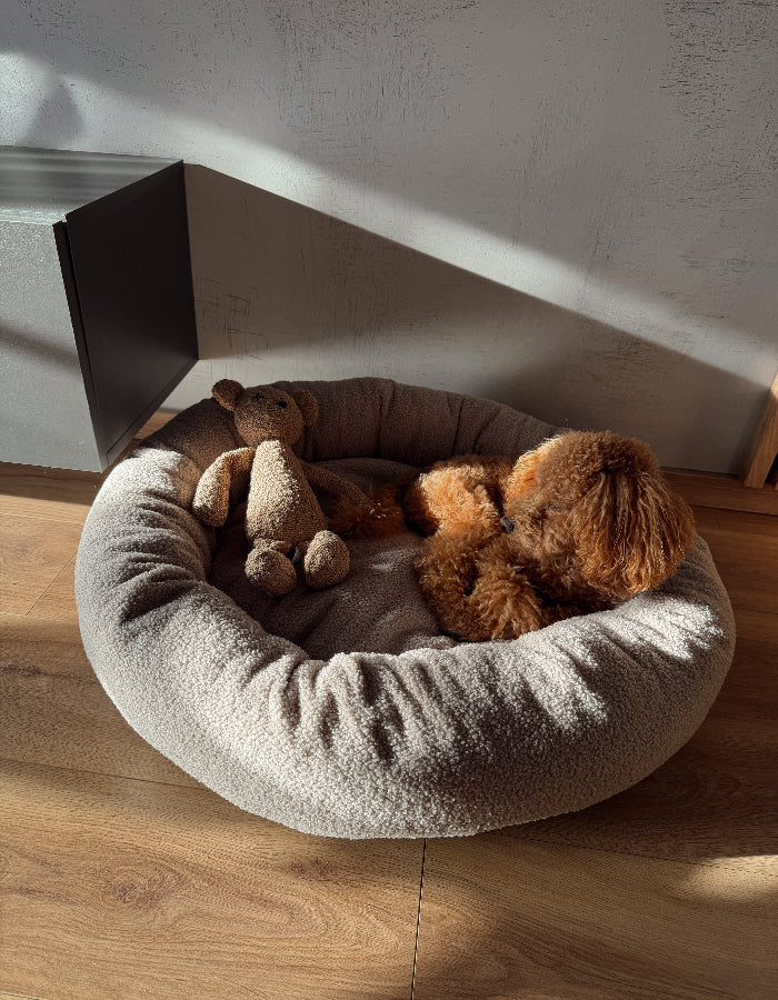 Legowisko Nest chmurka dla małego lub średniego psa