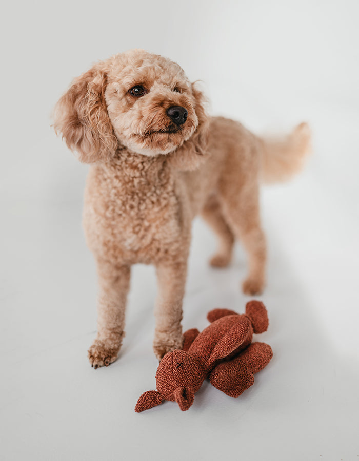 Pluszowa zabawka dla psa wiewiórka LEA