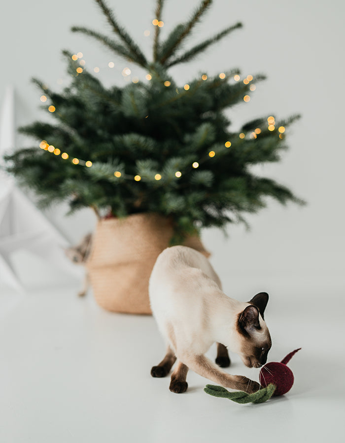 Naturalna zabawka dla kota lub psa buraczek 100% wełna