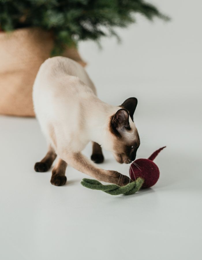 Naturalna zabawka dla kota lub psa buraczek 100% wełna